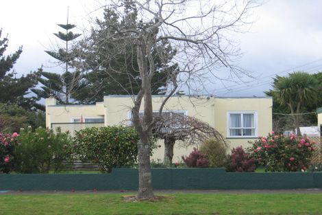 Photo of property in 39 Mckenzie Street, Levin, 5510