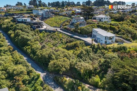 Photo of property in 2l Clayton Street, Saint Clair, Dunedin, 9012
