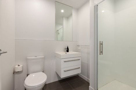 Photo of property in 24u6 Princess Terrace, Newtown, Wellington, 6021