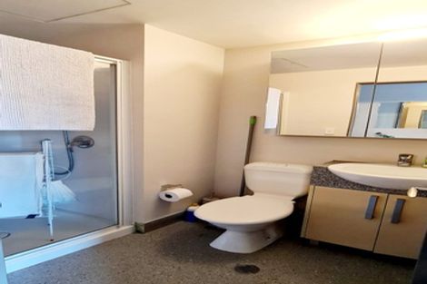 Photo of property in Dual Apartments, 108/142u Vivian Street, Te Aro, Wellington, 6011