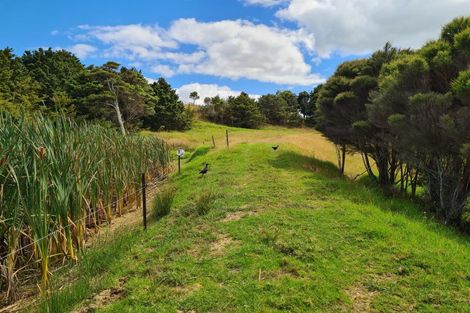 Photo of property in 304 Arapaoa Road, Tinopai, Matakohe, 0593