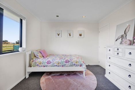 Photo of property in 105 Mawhitiwhiti Road, Normanby, Hawera, 4675