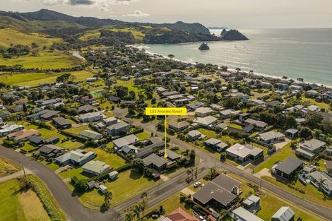 Photo of property in 103 Anarake Street, Whangapoua, Coromandel, 3582