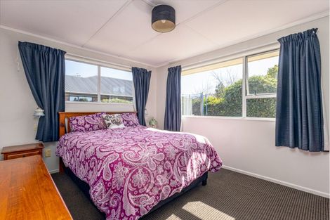 Photo of property in 131 Domain Avenue, Temuka, 7920