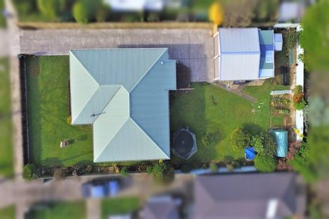 Photo of property in 49 Graham Street, Levin, 5510