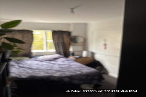 Photo of property in 196a Hanson Street, Newtown, Wellington, 6021