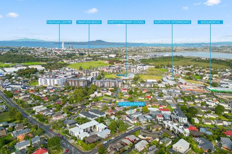 Photo of property in 65 Potter Avenue, Northcote, Auckland, 0627