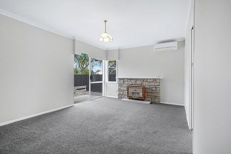 Photo of property in 117 Comries Road, Chartwell, Hamilton, 3210