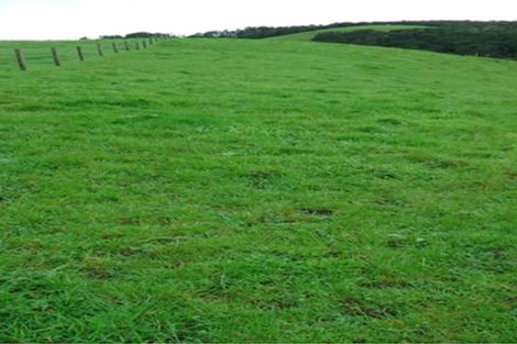 Photo of property in 103 Block Road, Hikutaia, Paeroa, 3674