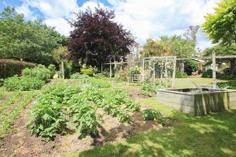 Photo of property in 243 Homestead Road, Weston, Oamaru, 9491
