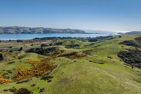 Photo of property in 452 Harington Point Road, Lower Portobello, Dunedin, 9077