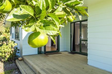 Photo of property in 114r Kairua Road, Kairua, Tauranga, 3175