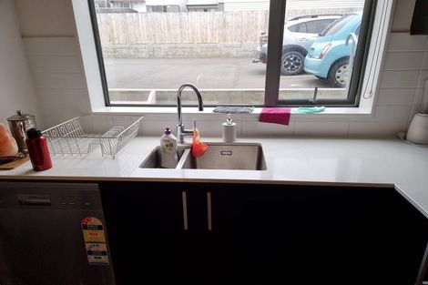 Photo of property in 24u9 Princess Terrace, Newtown, Wellington, 6021