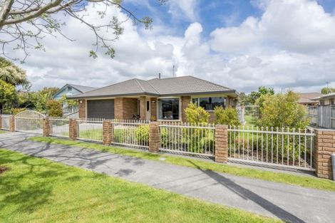 Photo of property in 91 Queen Street West, Levin, 5510