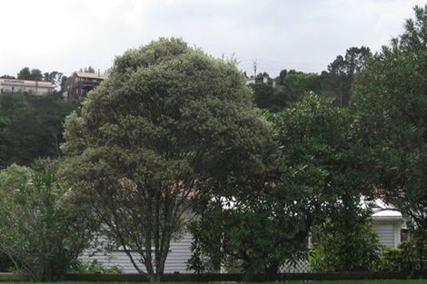 Photo of property in 26 Woodside Road, Massey, Auckland, 0614