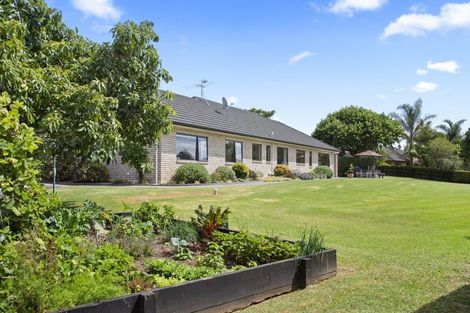 Photo of property in 6 Village Fields Road, Waiau Pa, Pukekohe, 2679