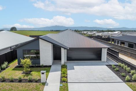 Photo of property in 22 Evans Street, Morrinsville, 3300