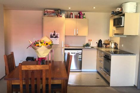 Photo of property in Dual Apartments, 408/142u Vivian Street, Te Aro, Wellington, 6011