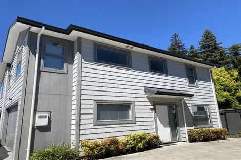 Photo of property in 42u2 Charlemont Street, Whitiora, Hamilton, 3200