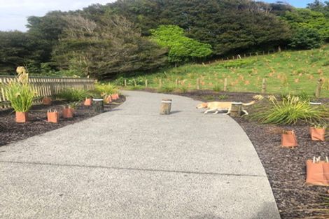 Photo of property in 6 Kaiwaru Place, Waikanae, 5036