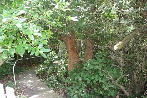 Photo of property in 56 Kainui Road, Hataitai, Wellington, 6021