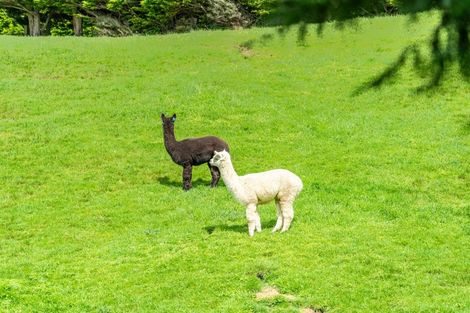 Photo of property in 20 Coroglen Rise, Pukerua Bay, 5026