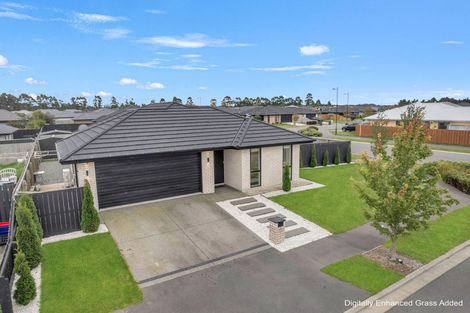 Photo of property in 43 Nicolau Avenue, Rolleston, 7615
