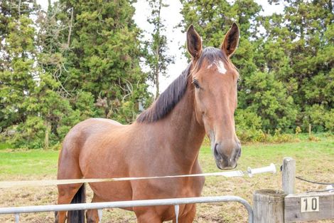Photo of property in 35 Taplin Road, Matangi, Hamilton, 3283