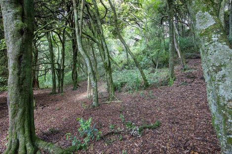 Photo of property in 137 Kiritaki Road, Dannevirke, 4972