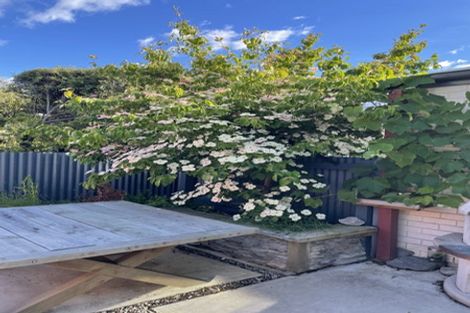 Photo of property in 4a Mclellan Place, Ilam, Christchurch, 8041