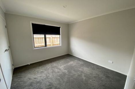 Photo of property in 17 Feltham Street, Richmond, 7020