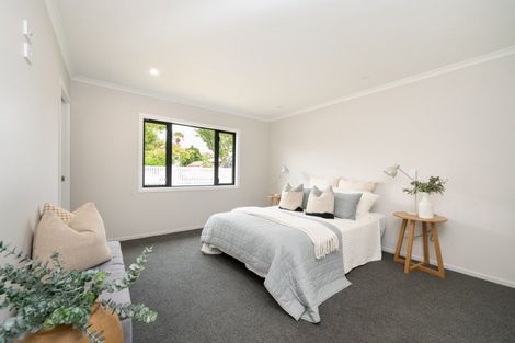 Photo of property in 408b Jervois Street, Mayfair, Hastings, 4122