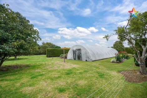 Photo of property in 224 Mill Road South, Seaward Bush, Invercargill, 9871