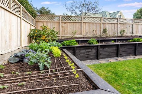 Photo of property in 22 Lanyon Place, Whitby, Porirua, 5024