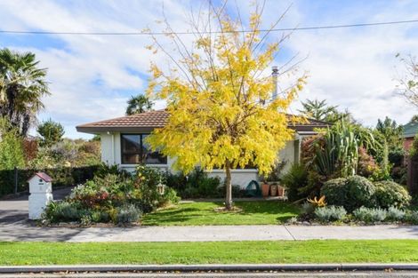 Photo of property in 6 Barratt Street, Blenheim, 7201