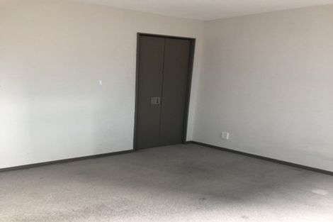 Photo of property in Dual Apartments, 301/142u Vivian Street, Te Aro, Wellington, 6011