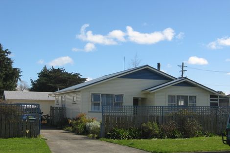 Photo of property in 17 Waitere Street, Marton, 4710