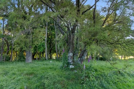 Photo of property in 849 Kincaid Road, Hapuku, Kaikoura, 7371