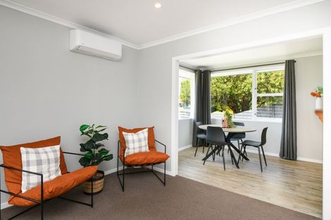 Photo of property in 160 Milson Line, Milson, Palmerston North, 4414