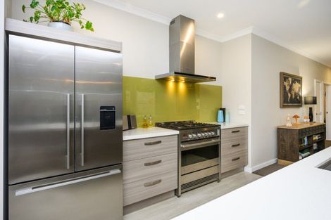 Photo of property in 5 Heritage Place, Terrace End, Palmerston North, 4410