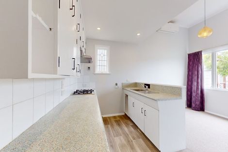 Photo of property in 141 Coromandel Street, Newtown, Wellington, 6021