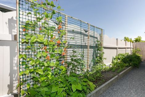 Photo of property in 144b Gloucester Street, Taradale, Napier, 4112