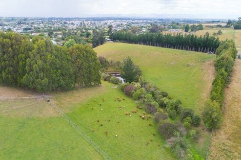 Photo of property in 22 Halcombe Road, Feilding, 4702