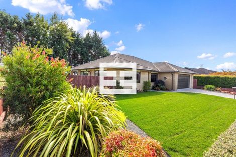 Photo of property in 22 Bertrowe Drive, Ohauiti, Tauranga, 3112