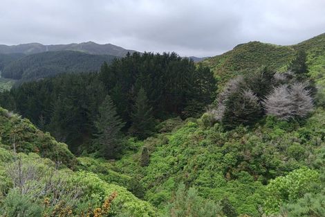 Photo of property in 741 Makara Road, Makara, Wellington, 6972