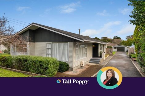 Photo of property in 59 Alexander Road, Raumati Beach, Paraparaumu, 5032