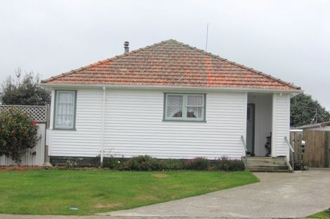 Photo of property in 12 Featherston Street, Levin, 5510