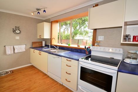 Photo of property in 333 Kenmure Road, Kenmure, Dunedin, 9011