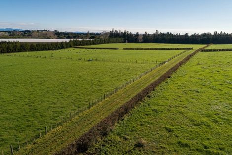 Photo of property in 28 Armstrong Road, Te Puna, Tauranga, 3174