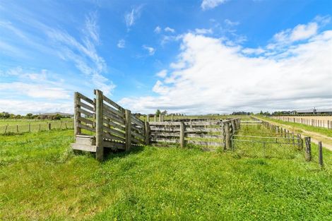 Photo of property in 81 Pukepapa Road, Marton, 4710